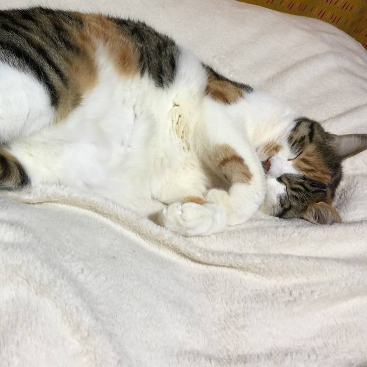 Ab6356d5 eb0c 4ac9 8d9e 8a465223526c 1672742284998