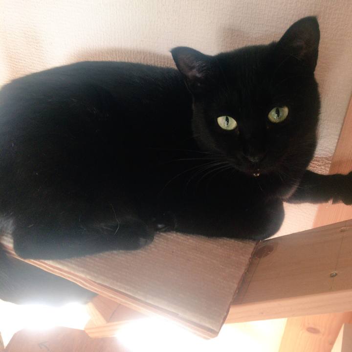 Ab6357b9 5f31 4c8d ab0b c6a5632262cc 1512217348528