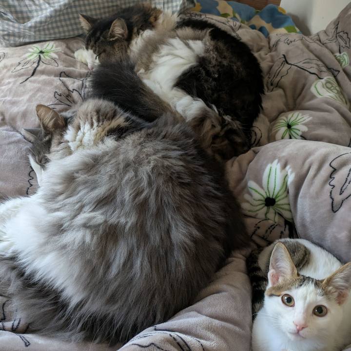 Ab637906 f73e 4f12 acde 931c62de0380 1768096618051