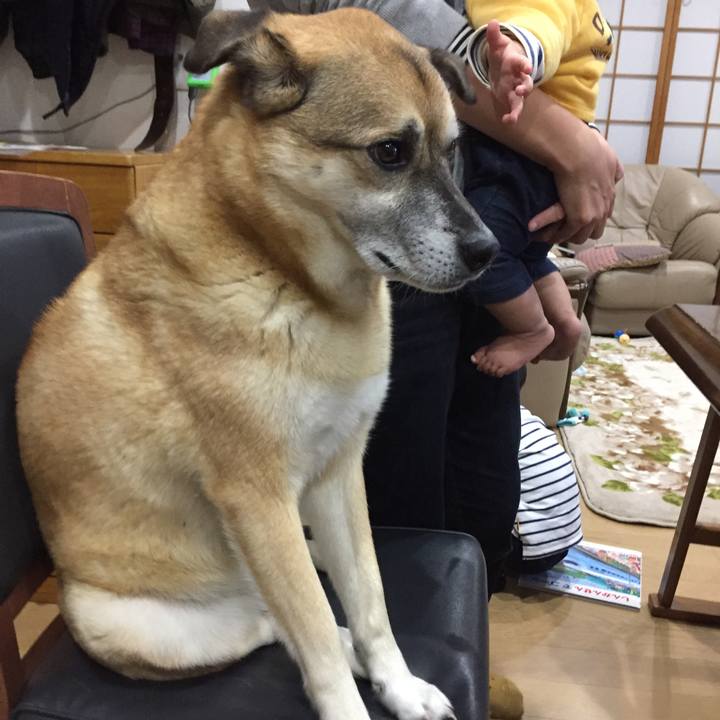 Ab639508 1731 48a4 a33d 3c4109a1132d 1544191772725