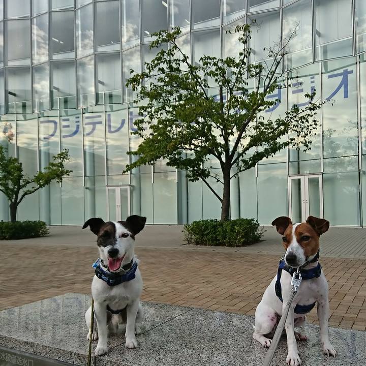 Ab63c90b 3f5b 49d1 befb f8d67a30fc79 1535620447234