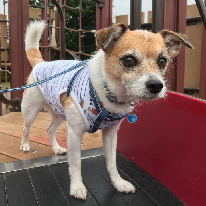 Ab63e33f ae90 457a b91e 59292e2acbfa 1595371503200