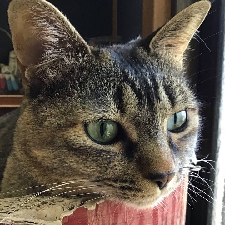 Ab63e74d ff5b 4819 8a40 2c35500ea5cc 1745226098218