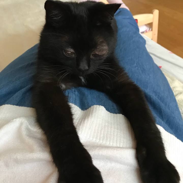 Ab6402f0 06c3 4693 a5d4 e54e5a388967 1530933492414