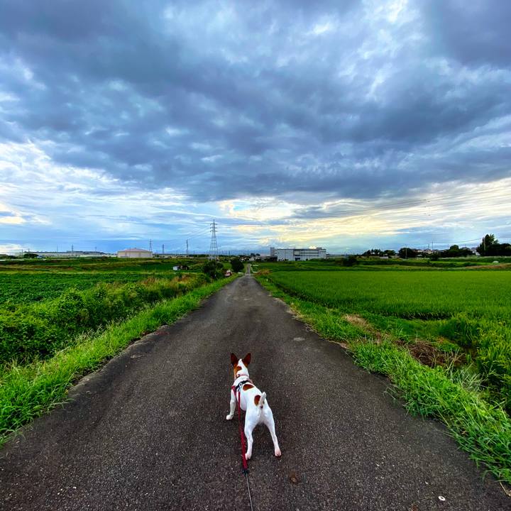 Ab641e66 b4d0 4722 aed3 9313ea3931c1 1599738065600