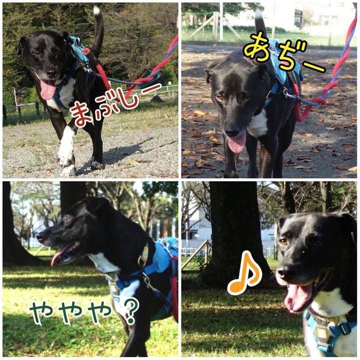 Ab642e9c 3a31 4d42 8fd9 fdd8c991ad49 1633394253443