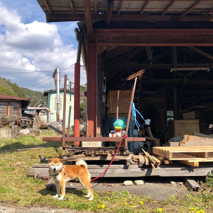 Ab64421c 5dc6 44ba 83c9 cda8f6108491 1555140670394