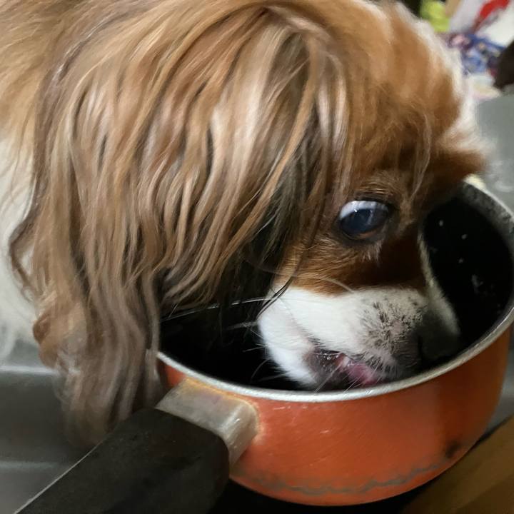 Ab64485f 5dad 4406 93f2 00fcf78b2e5b 1717027160771