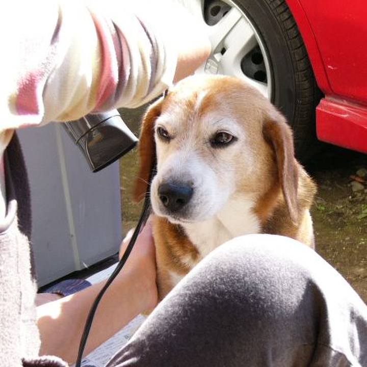 Ab64899c dd1f 4536 a1bf cbd3ec0701ef 1641087464554