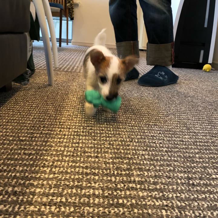 Ab6494bf 534c 4be3 9e35 0fbfe648563c 1521293173792