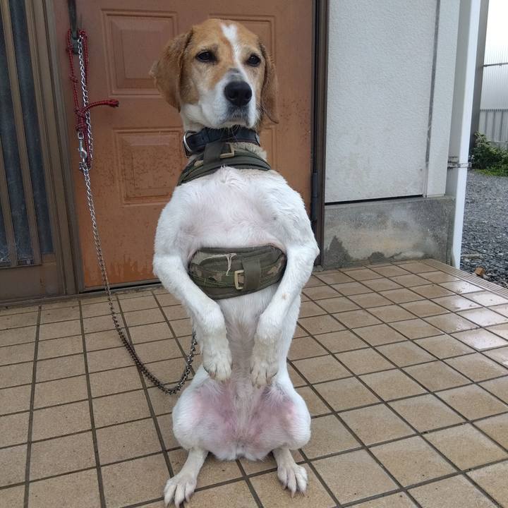 Ab649af1 5e4a 41e1 86f9 eaa92a91f2ca 1685160307148