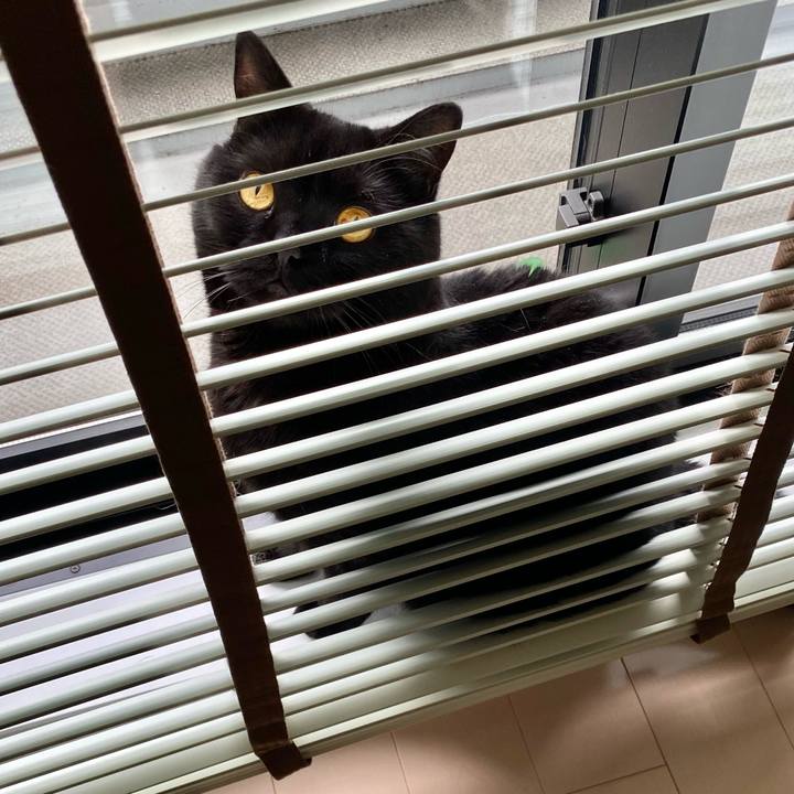 Ab64a1dc 6282 4712 a6c2 2e7e5b5760c8 1686474219290