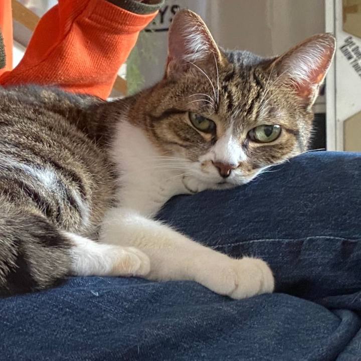 Ab64f61c 2ddc 4f66 9a1f 419380c68133 1619938206642