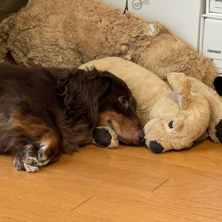 Ab65123a ed92 42f9 a794 9539307e9899 1726290104971