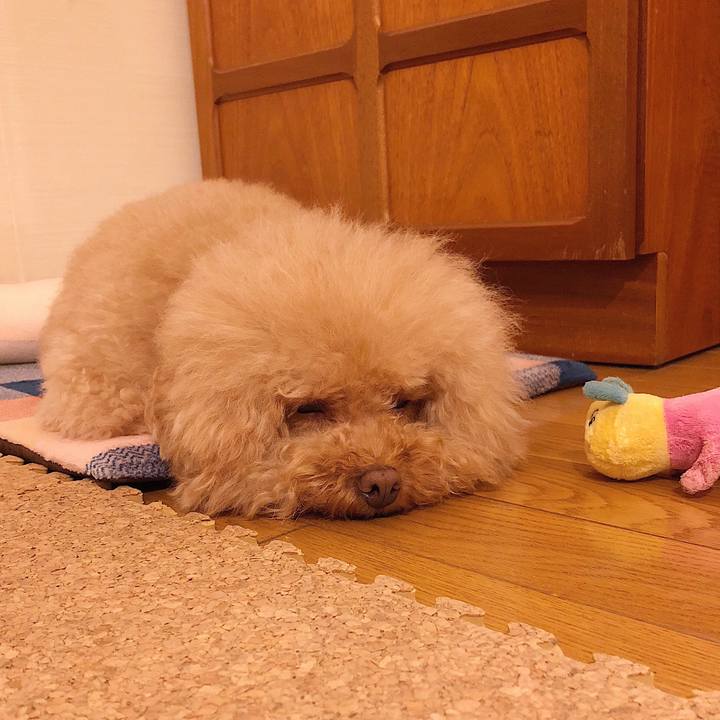 Ab651c67 cb36 40d3 94e0 f501b3985037 1532341237921