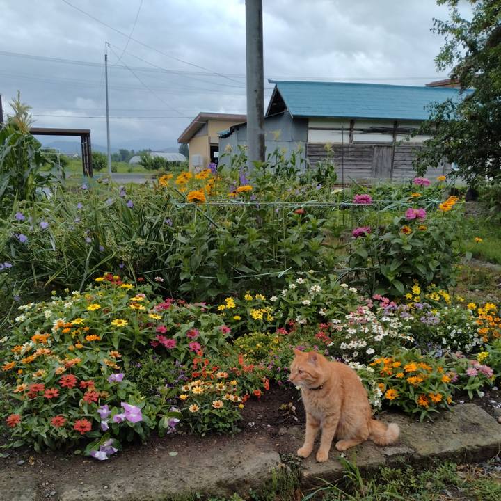 Ab6530d1 3cc6 4237 945f 35ca250f8545 1720394077848