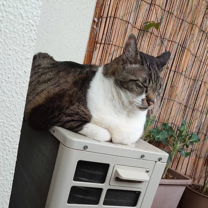 Ab655059 5ab2 40a3 b1fc 1f6a885c150f 1679792533993