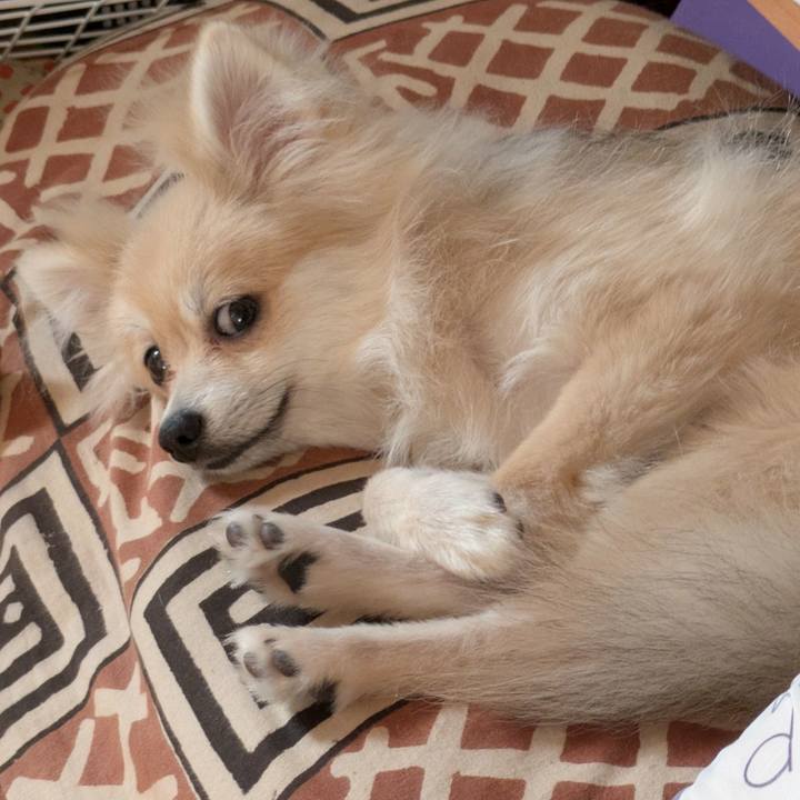 Ab657970 12b0 46ae adb6 31df7fec0d55 1756453667626