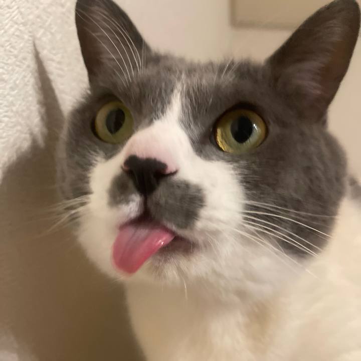 Ab660d4d 6646 42b9 a7ad af9153a51169 1739987190619