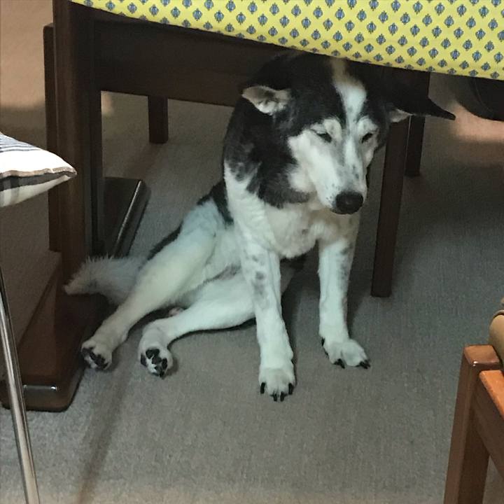 Ab66297d a0e6 43b7 a010 83370c49e7ba 1569023649376