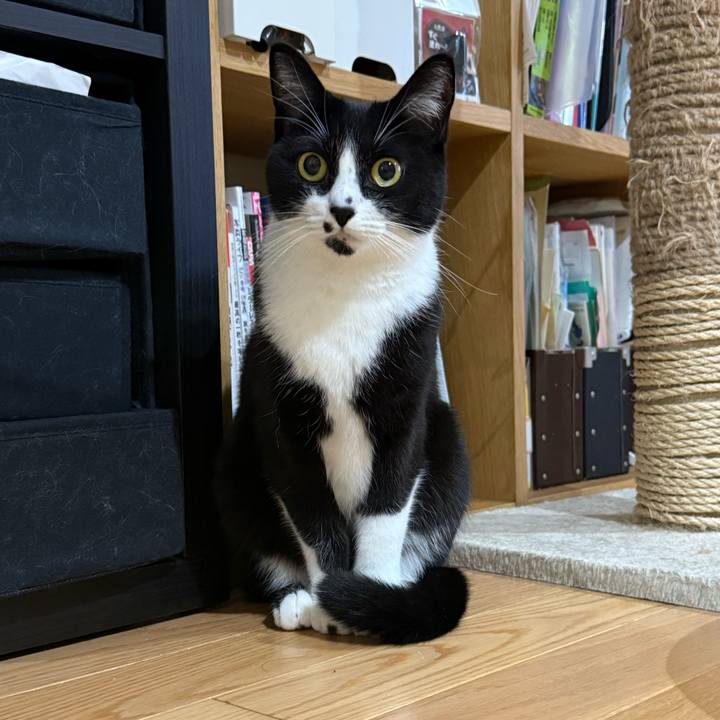 Ab663718 0667 465e bdda 01f88e21b2d8 1763166492504