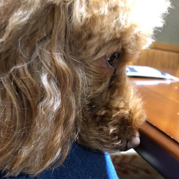 Ab668e54 c83b 40a9 b39b 602f9e6b990e 1583138630445