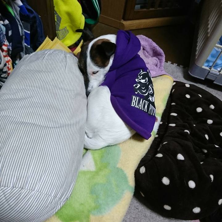 Ab66aa57 6835 4ad8 99ba aea5cce7931c 1517126391417