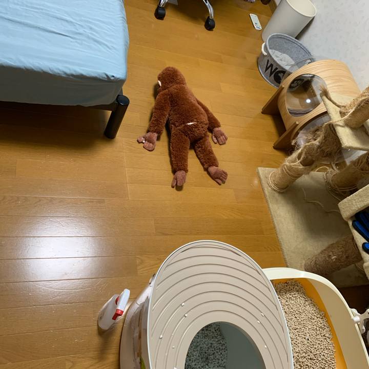 Ab66fa9b 1ce9 4134 89c4 d3ae99f6b6bd 1625227378919