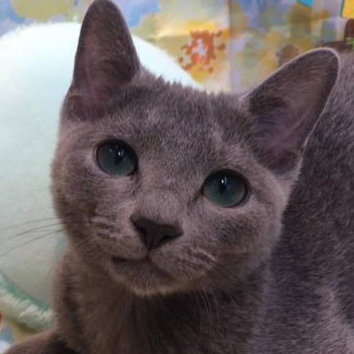 Ab66fc59 8d3d 433f 96af 35041ee06765 1574994077942