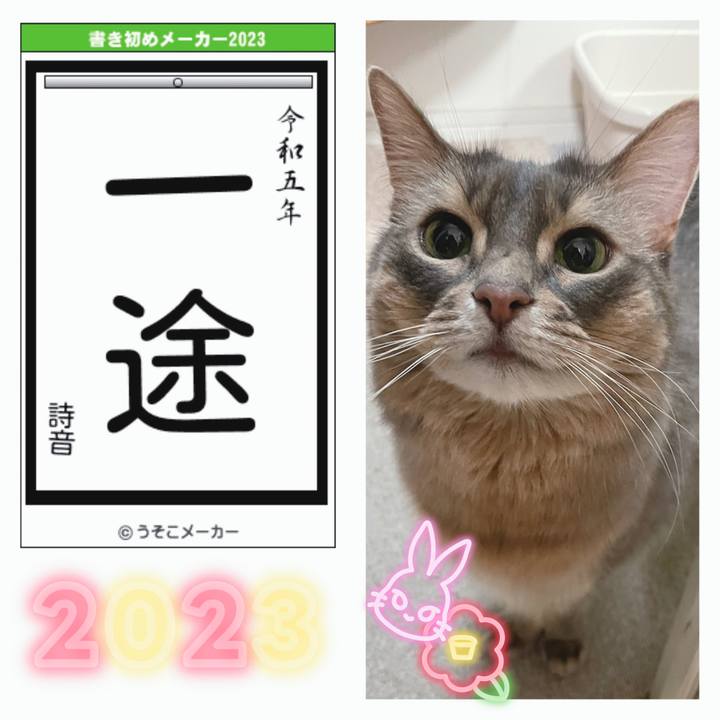 Ab670984 6acf 49f2 bc4b da19a6e35923 1672919648136