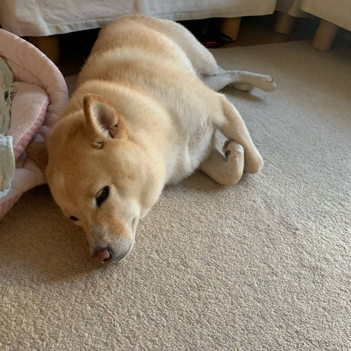 Ab671e74 90bc 429a 9c05 9e3cebf126b8 1632036232400