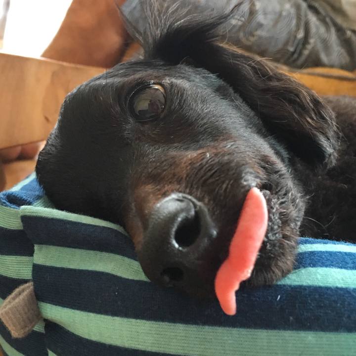 Ab672aff 0d7b 4999 98f5 7f9c4acf37c2 1532137435091