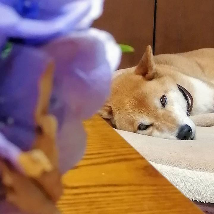 Ab676a16 993c 458b 9deb 8a937f69d55c 1625364305358