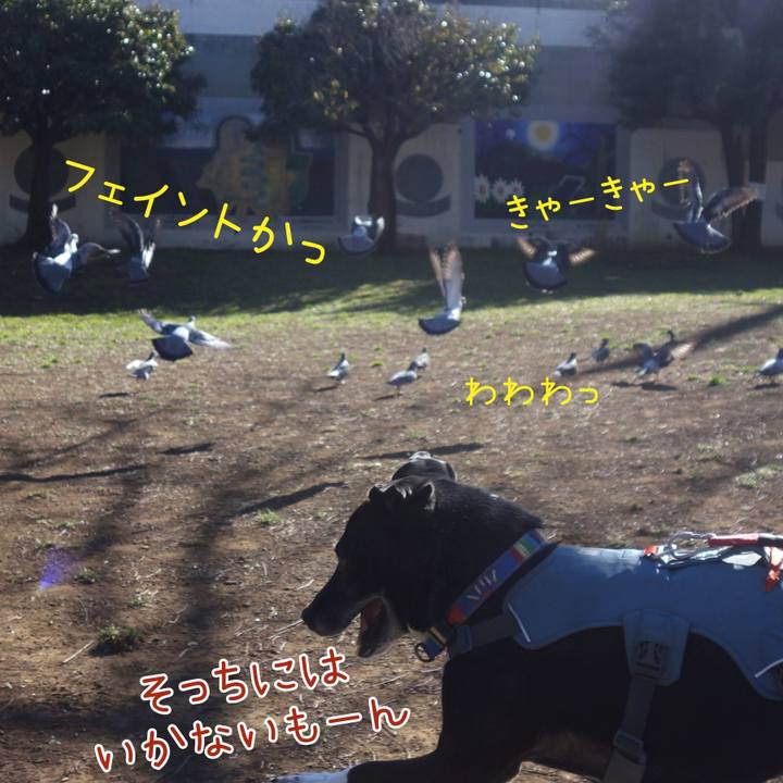 Ab67b68f 69d0 4bf2 ac61 b69cb0e0dbf3 1711071533152