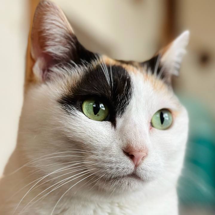 Ab68153b f6f5 4e4f 9fa5 8d6fed065a2f 1712021318001