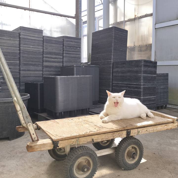 Ab681eeb 4a84 4f07 b46d c9bfcf0a870c 1763257155710