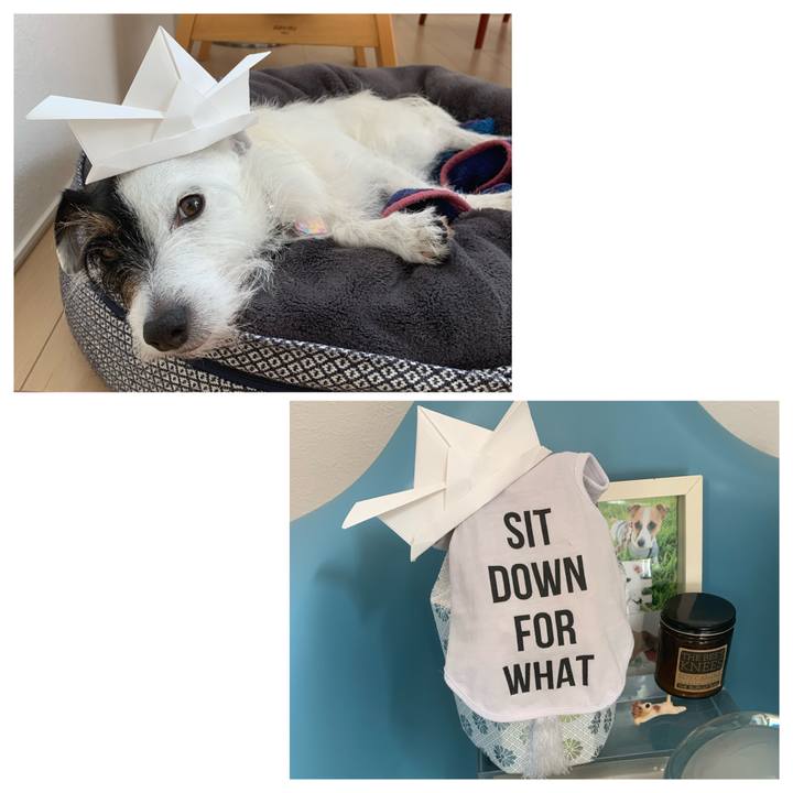 Ab683cff fb5c 4c71 8f61 8c68d0303360 1651716417148