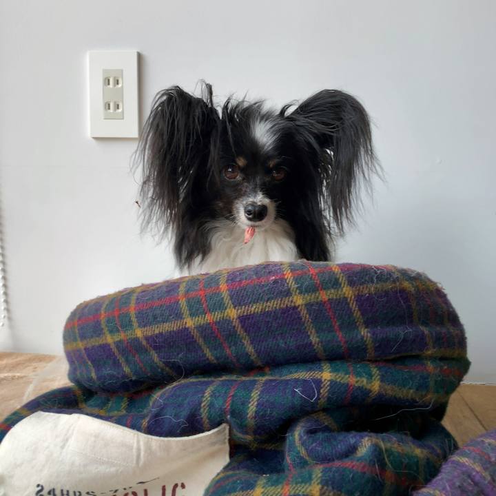 Ab685c3e 4251 487e 88b3 071436613a93 1555889149277