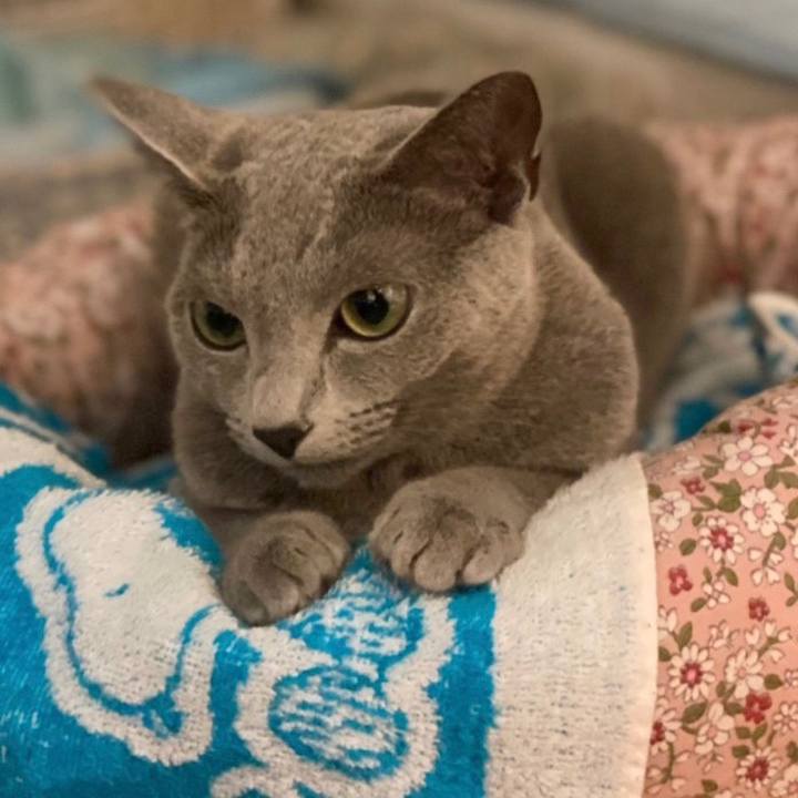 Ab687bb4 7b17 497d 8ba3 ffc00345561d 1632634603632