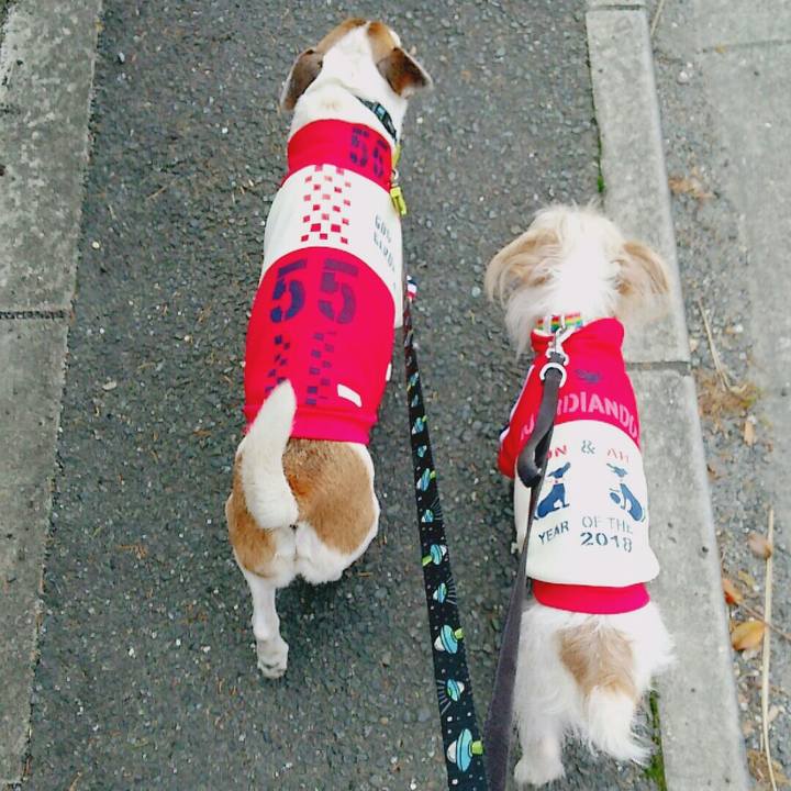 Ab688f3d 9da1 4794 9ddb 3e1bf5576e76 1521948062578