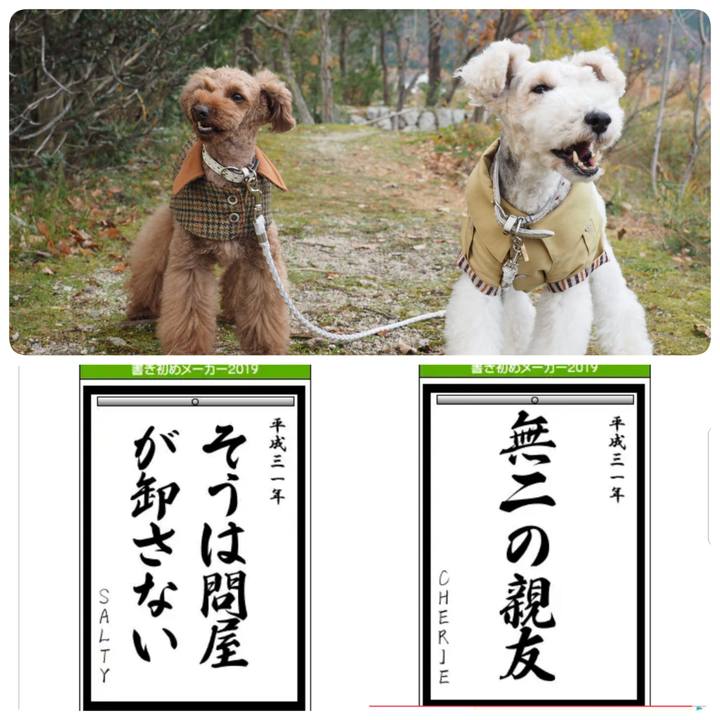 Ab68985c e2ca 4ccf b2a9 109a73e24ef4 1546611987078