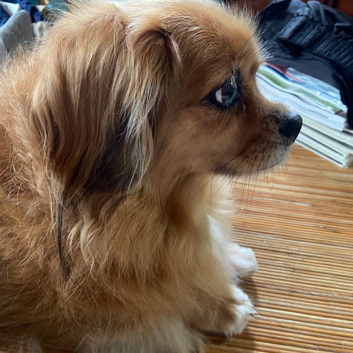 Ab68d9bc 46c5 40c1 80ee a91434095863 1663974186761