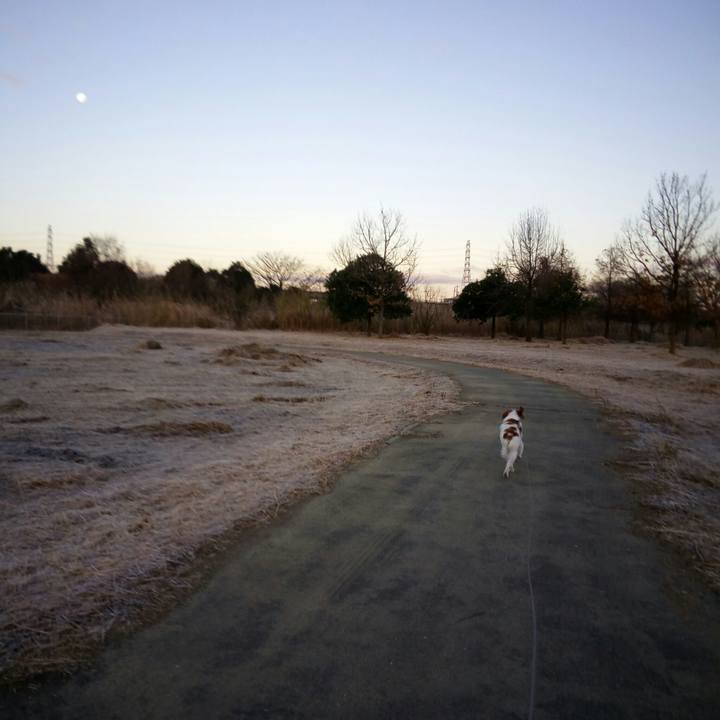 Ab68ff32 e35b 4908 a531 24abb94e7678 1515024934453