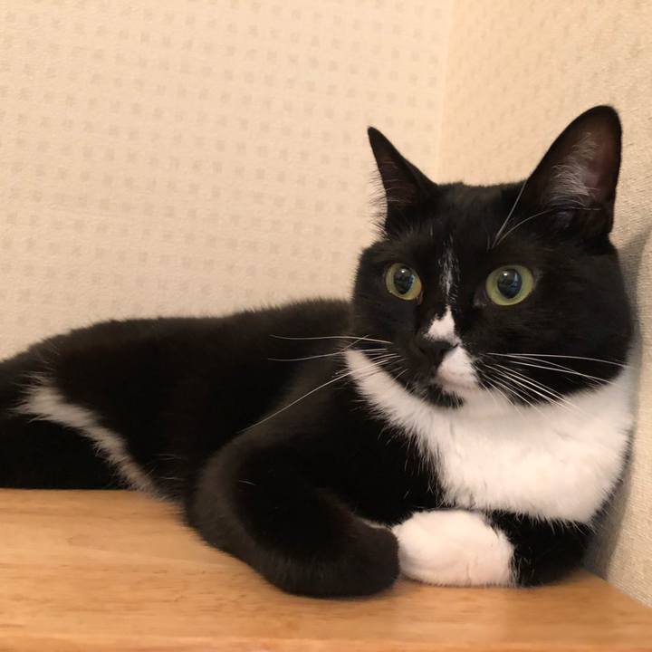 Ab69067c 2172 4731 8948 9a532531562c 1532037623877