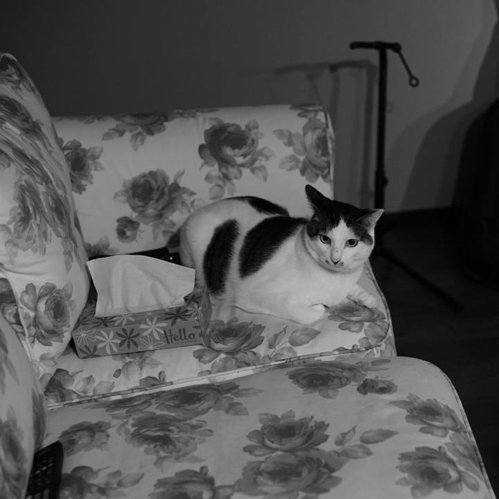 Ab693594 f6db 4b29 989b af1ca2a2ca23 1533527109626