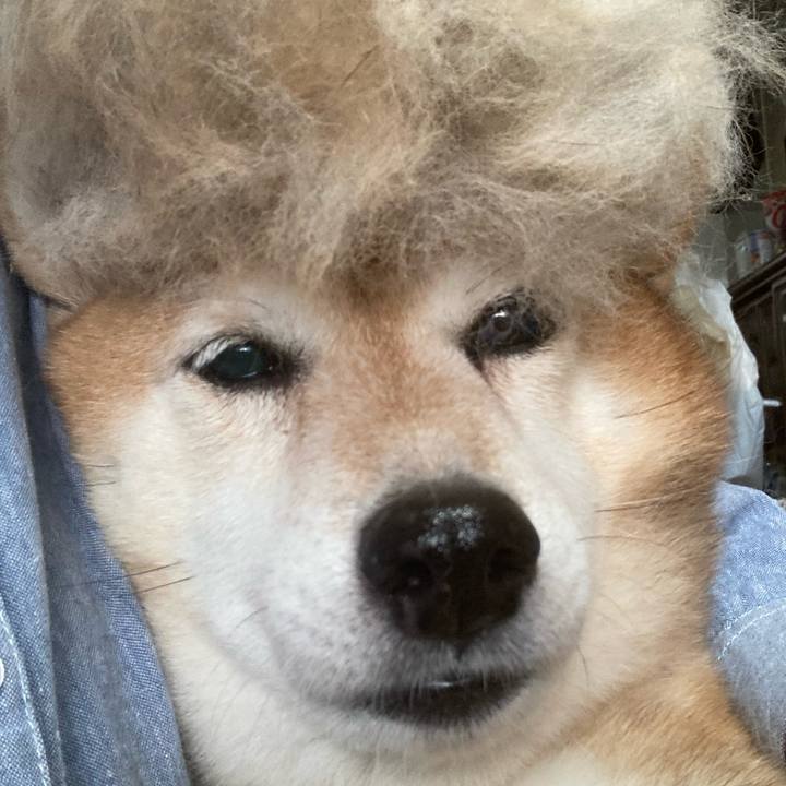 Ab69370b 4648 4f96 a7ac 2932f39fab90 1657587840991