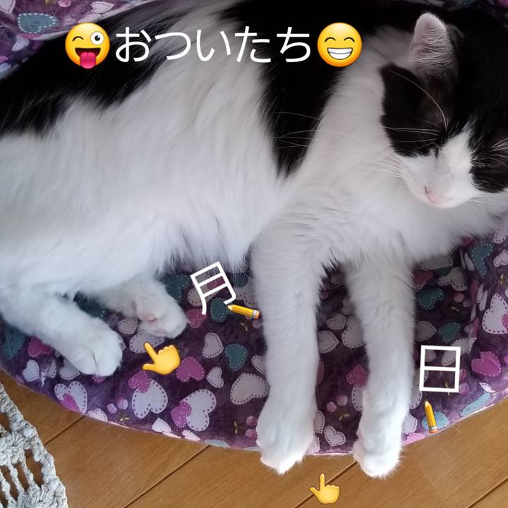 Ab6944dd be80 4d53 9de0 d251284def57 1541913938689