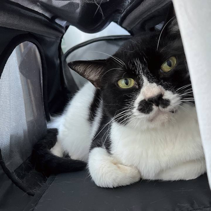 Ab697e06 366b 4277 b0fa 416589bf98bc 1688985788722