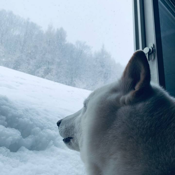 Ab6981c4 4198 46ad afe8 8d3b83f3d19b 1646270838865