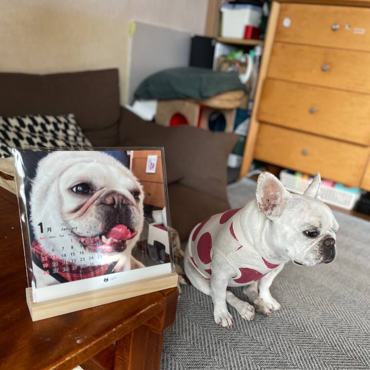 Ab698510 5f82 4bc6 8760 f7aaf832ae75 1732322756720